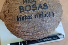 Graviruotas-kokoso-riesutas-5